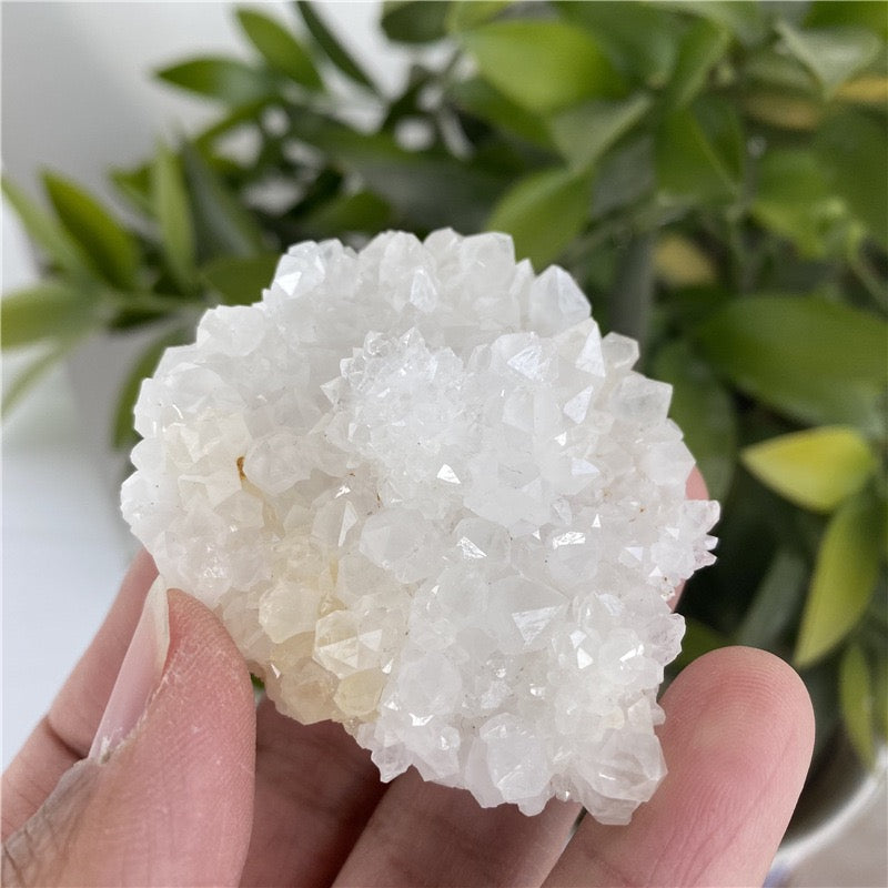 Natural Clear Quartz Crystal Cluster
