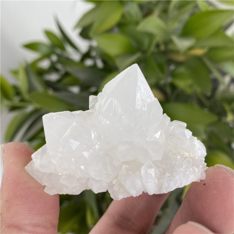 Natural Clear Quartz Crystal Cluster