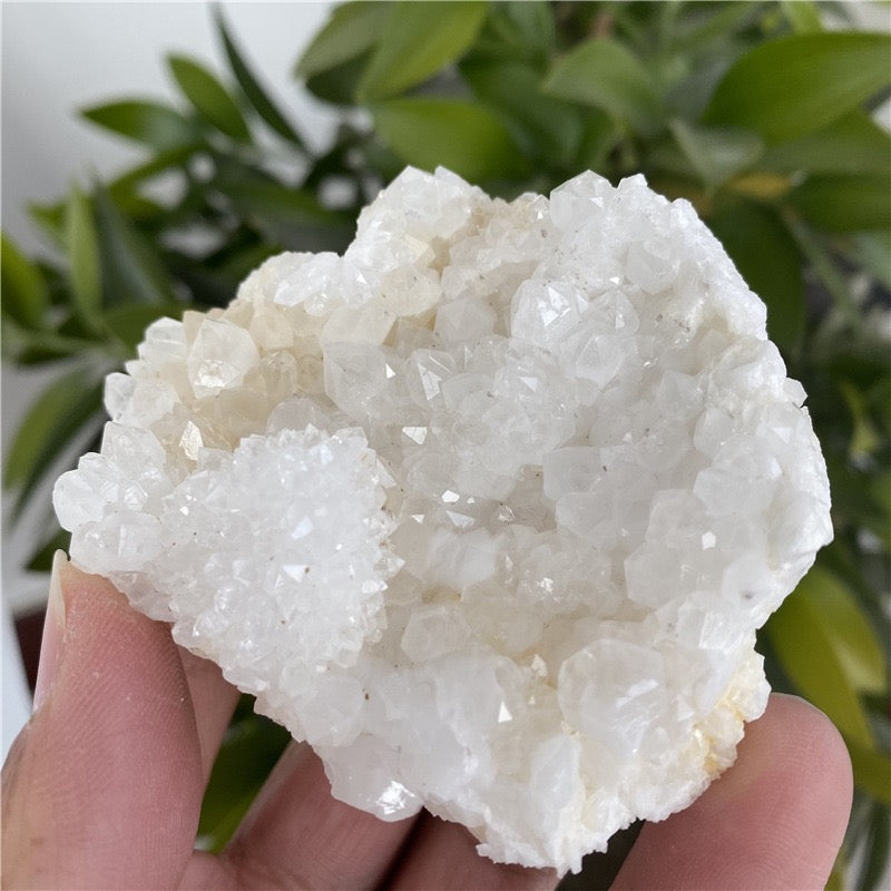 Natural Clear Quartz Crystal Cluster