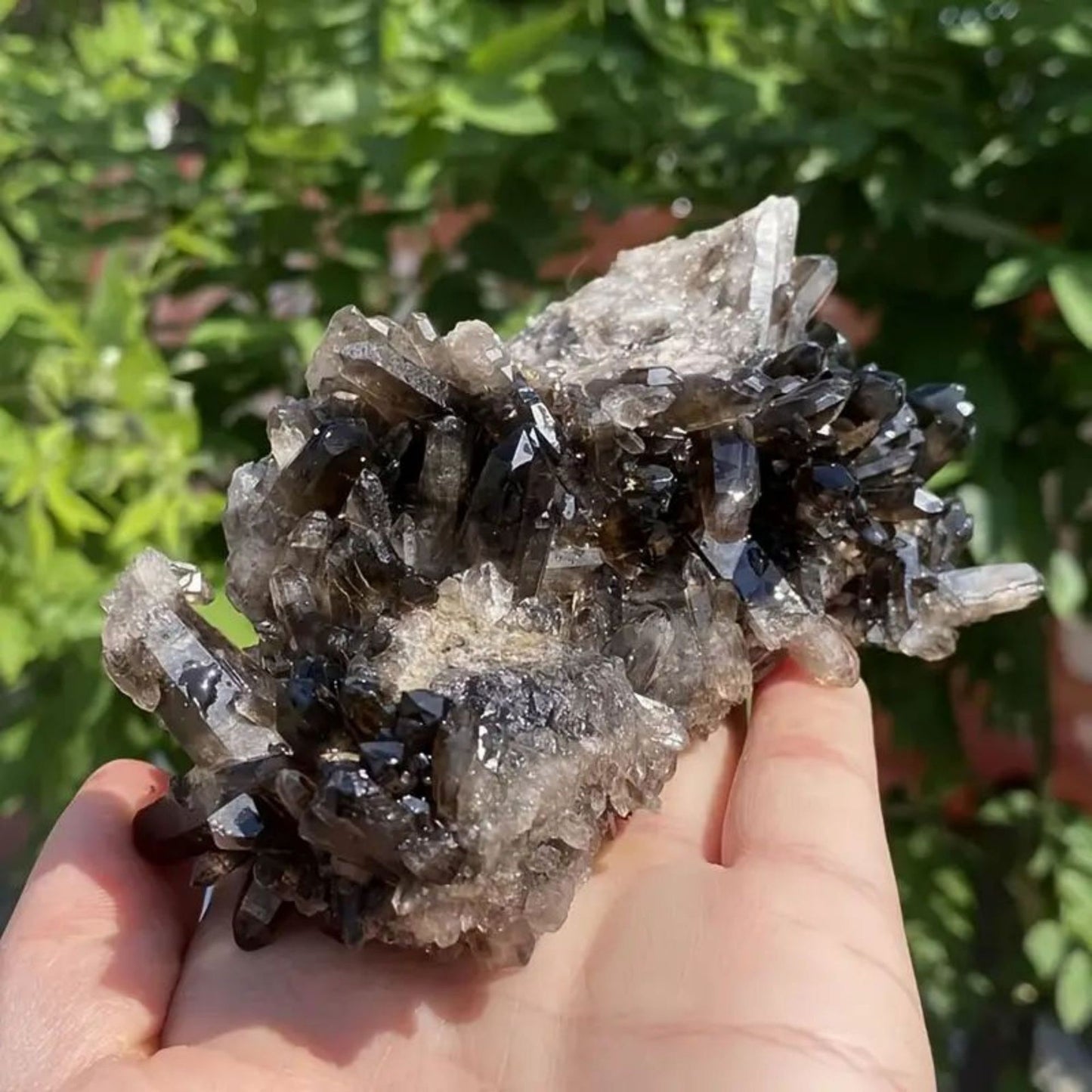Natural Smoky Quartz Crystal Cluster