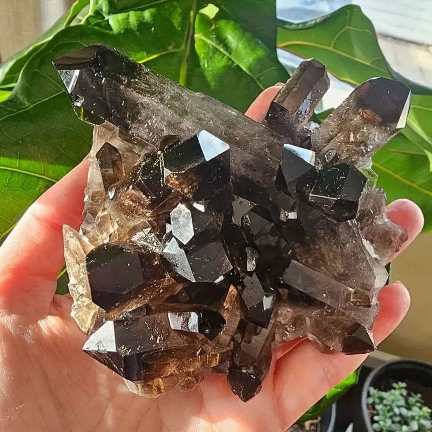 Natural Smoky Quartz Crystal Cluster